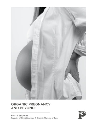FREE Pregnancy Ebook (Digital Download)